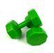 Гантелі фітнес 2 шт по 2 кг (композитні) для фітнесу тренувань FIT-2KG-GREEN-2PK фото 1